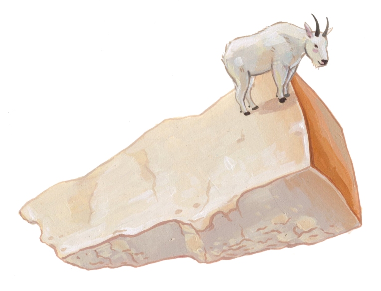 Parmesan Mountain Goat