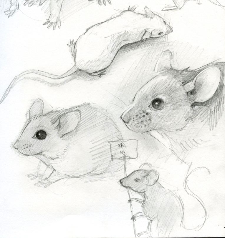 Mouse Sketch